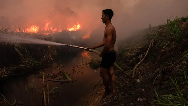 Kebakaran Lahan Gambut di Ogan Ilir