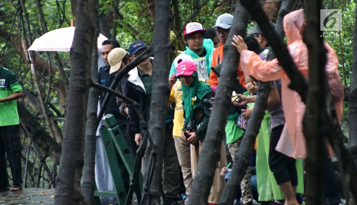 Komunitas pemerhati burung melakukan kegiatan Asian Waterbird Census 2019 di Hutan Lindung Angke Kapuk Jakarta, Sabtu (19/1). Kegiatan ini bertujuan memperkenalkan kekayaan keanekaragaman hayati Indonesia kepada generasi muda. (Liputan6.com/Fery Pradolo)