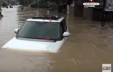 6 Cara Aman Menghadapi Banjir Saat Mengemudikan Mobil Matic