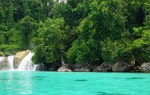 Peringatan Keras Ahli Soal Dampak Tambang Nikel di Raja Ampat