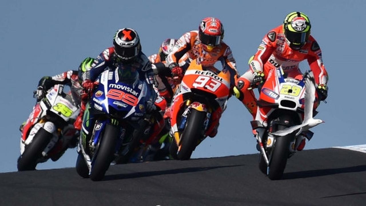 Nasib tragis burung camar jadi 'tumbal' MotoGP di Phillip Island