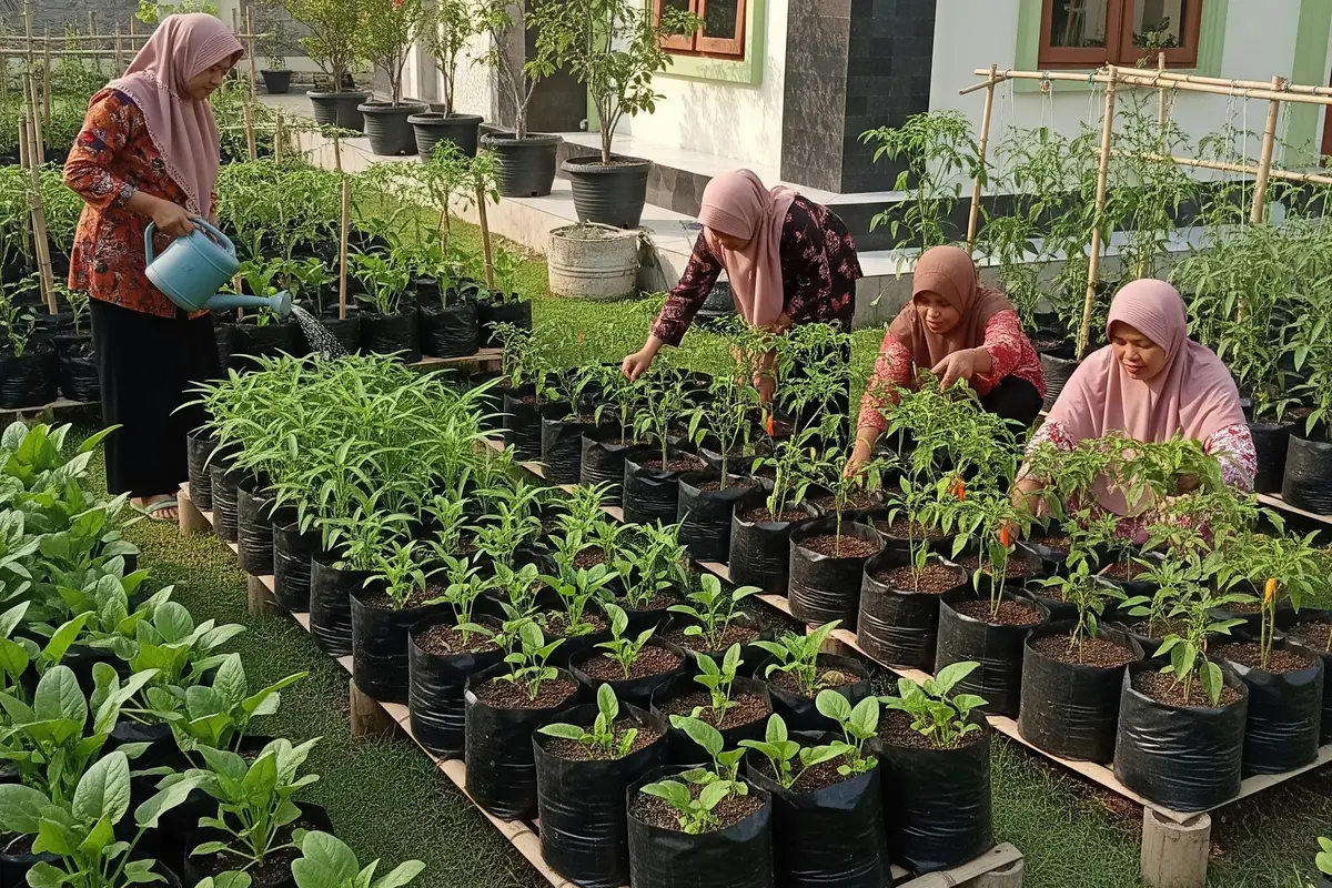 9 Ide Kebun Sayur untuk Ibu-Ibu Jamaah Masjid, Hasil untuk Bersama