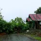 Bencana longsor terjadi di Desa Papualangi Kecamatan Tolinggula menyebabkan Desa Cempaka Putih yang merupakan desa paling ujung di Wilayah barat Gorontalo Utara terisolir. (Liputan6.com/ Dok Kades Cempaka Putih)