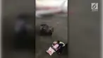 Seorang penumpang merekam tindakan tercela petugas kargo bandara. Mereka melempar begitu saja bagasi penumpang dari kendaraan pembawa ke aspal bandara.
