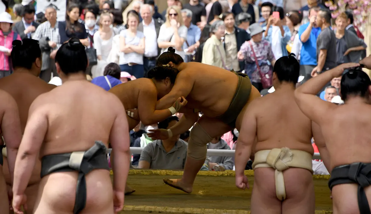 Para pegulat sumo melihat dua pegulat bertarung dalam turnamen Honozumo di Kuil Yasukuni, Tokyo, Senin (17/4). Selain ajang kejuaraan olahraga tradisional jepang, kejuaraan tahunan itu juga menjadi daya tarik wisata. (AFP Photo / Toshifumi Kitamura)