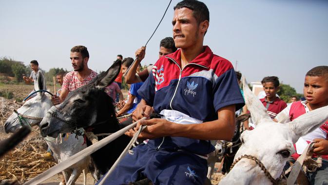 Para peserta bersiap di garis saat untuk mengikuti lomba balap keledai di desa Al-Baragel, luar Kairo, Jumat (28/9). Sebanyak 35 keledai berpartisipasi dalam kompetisi tahunan yang berhadiah 5000 EGP atau sekitar 4 juta rupiah. (AP/Amr Nabil)