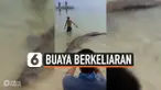 BUAYA RAKSASA