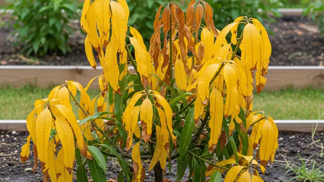 Tanaman Buah Kelebihan Air (Gemini AI)