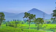 Pemandangan Gunung Tilu. (Dok: IG @muchorik_nafiana https://www.instagram.com/p/Cxt8Tx5Sb-P/?igsh=aHlpMWQyYjV2dXR1)