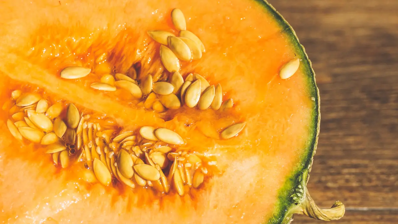 Melon