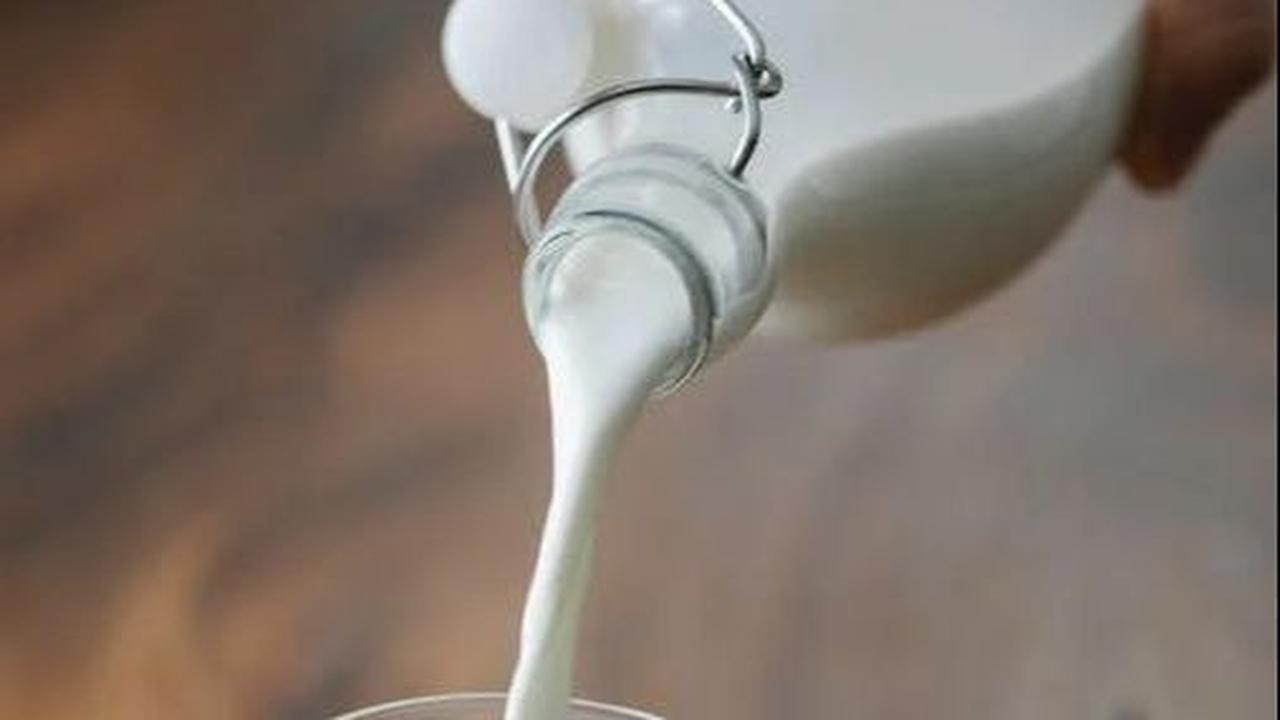 1. Susu Rendah Lemak