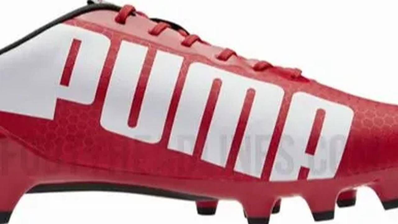 1. Puma<br>