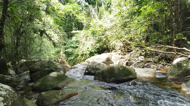 Sungai di Kawasan hutan lindung Gunung Benom, Malaysia. (Dok: Gunung Bagging)