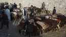 Pedagang memajang hewan ternak yang dijual jelang Hari Raya Idul Adha di Kabul, Afghanistan, Senin (27/7/2020). Idul Adha memperingati kisah Nabi Ibrahim atas kesediaan untuk mengorbankan putranya sebagai kepatuhan kepada Tuhan. (AP Photo/Rahmat Gul)