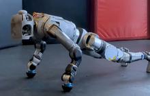 Robot ini Bisa Push-Up, Ada yang Berani Menantang?