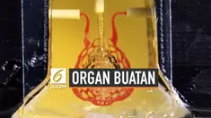 Perkembangan printer 3D berkembang pesat dengan keberhasilan baru mencetak jaringan vaskular dari sel-sel hidup. Inovasi ini dapat memproduksi organ tubuh dari sampel sel yang kecil.