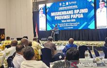 RPJMD 2025-2029 Jadi Pijakan Transformasi Pembangunan Papua Menuju Visi "Papua Cerah"