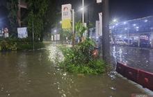 Genangan Terminal Kampung Rambutan Tak Ganggu Operasional Bus AKAP