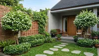 6 Inspirasi Teras Rumah Mungil dengan Pohon Melati Jasmine, Beri Kesan Adem dan Elegan