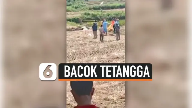VIDEO: Berebut Rumput, Pria Bacok Tetangga hingga Tewas