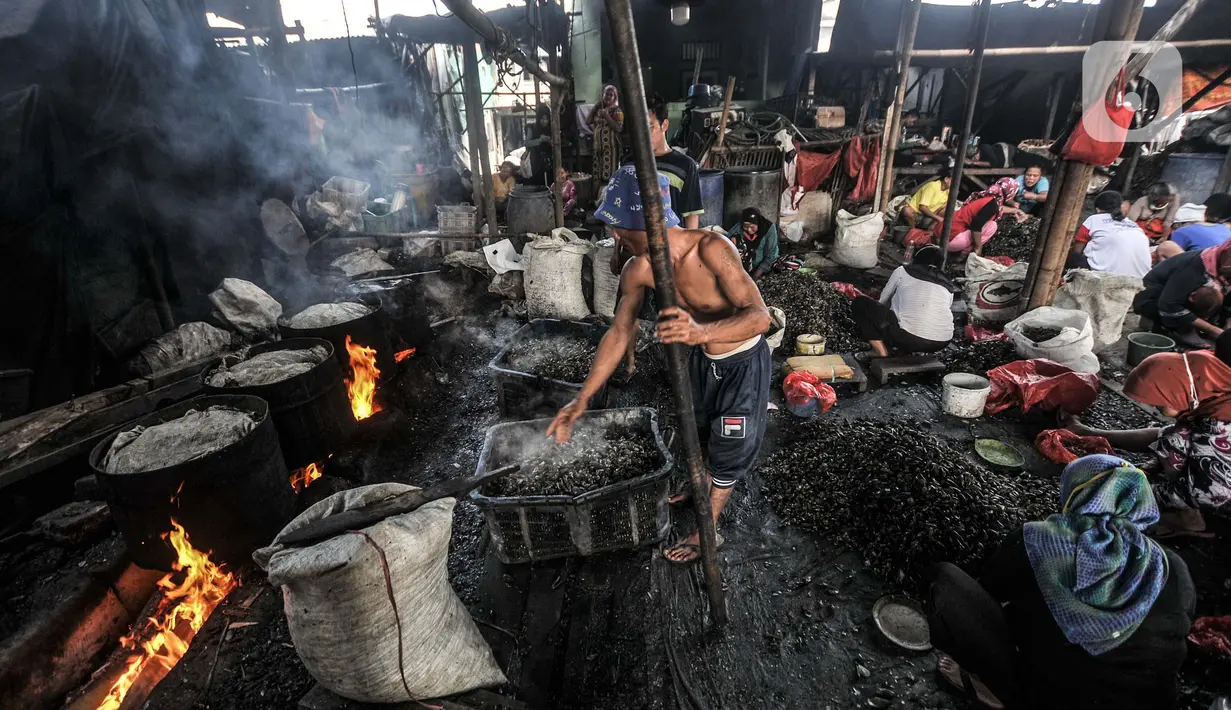 Aktivitas pekerja saat mengupas kerang hijau di Kalibaru, Cilincing, Jakarta Utara, Minggu (13/6/2021). Biasanya mereka diupah Rp3.500 per 1 Kg daging kerang yang dikumpulkan atau dalam sehari para pengupas mampu mendapatkan Rp35.000. (merdeka.com/Iqbal S. Nugroho)