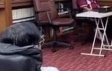 Duduk Santai di Sofa, Presiden ke-6 RI Saksikan Anaknya Dilantik Presiden Jadi Menteri