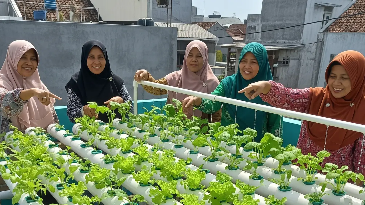 Ide Kebun Sayur Hidroponik untuk Ibu PKK