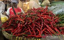 Terkuak! Harga Pangan Terbaru: Cabai Rawit dan Bawang Merah Turun, Bagaimana Komoditas Lainnya?