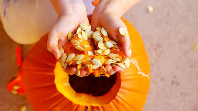 5 Manfaat Biji Labu Kuning Untuk Kecantikan