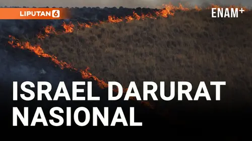  Kebakaran Hutan di Israel Disebut Keadaan Darurat Nasional