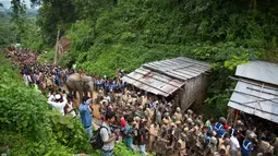 Seekor gajah bersama pasukan tentara India bersiap melakukan penggusuran di Suaka Margasatwa Amchang di pinggiran Gauhati, India (25/8). (AP Photo/Anupam Nath)