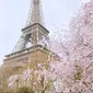 Bunga sakura di dekat Menara Eiffel, Paris. (dok.Instagram @paris_ashgraphy/https://www.instagram.com/p/BRqbkEShu2w/Henry