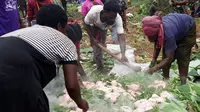 Muslim Papua biasa melakukan tradisi bakar batu dengan menu olahan daging ayam, sebagai pengganti daging babi. (Liputan6.com/Katharina Janur)