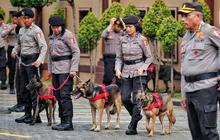 Imlek 2026 Aman dan Kondusif, Polda Metro Jaya Turunkan 1.919 Personel Gabungan