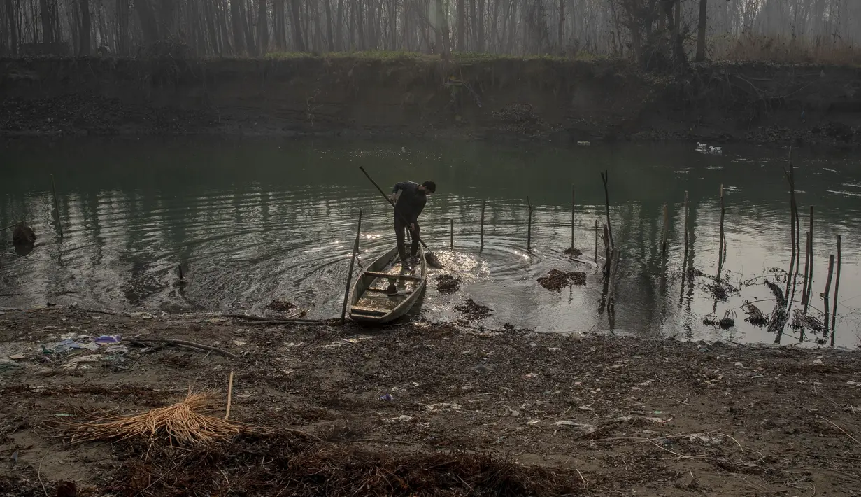 Seorang penduduk desa Kashmir mengeluarkan seikat anyaman yang disimpan di sungai terdekat untuk melembutkan kulit, di pinggiran Srinagar, Kashmir yang dikuasai India (30/11/2021). Warga Kashmir menggunakan tungku tradisional untuk menghangatkan diri selama musim dingin. (AP Photo/Dar Yasin)