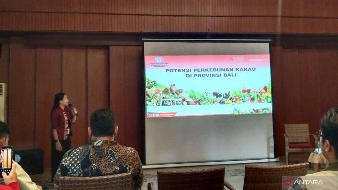Pemprov Bali Ajukan Peremajaan Tanaman Kakao, Dorong Produktivitas Ekspor