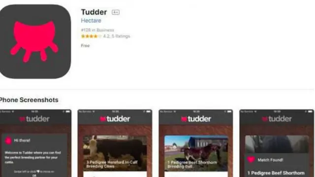 Tudder