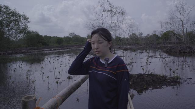 Menciptakan Masa Depan Hijau, Peran Vital Pendidikan Lingkungan di Indonesia