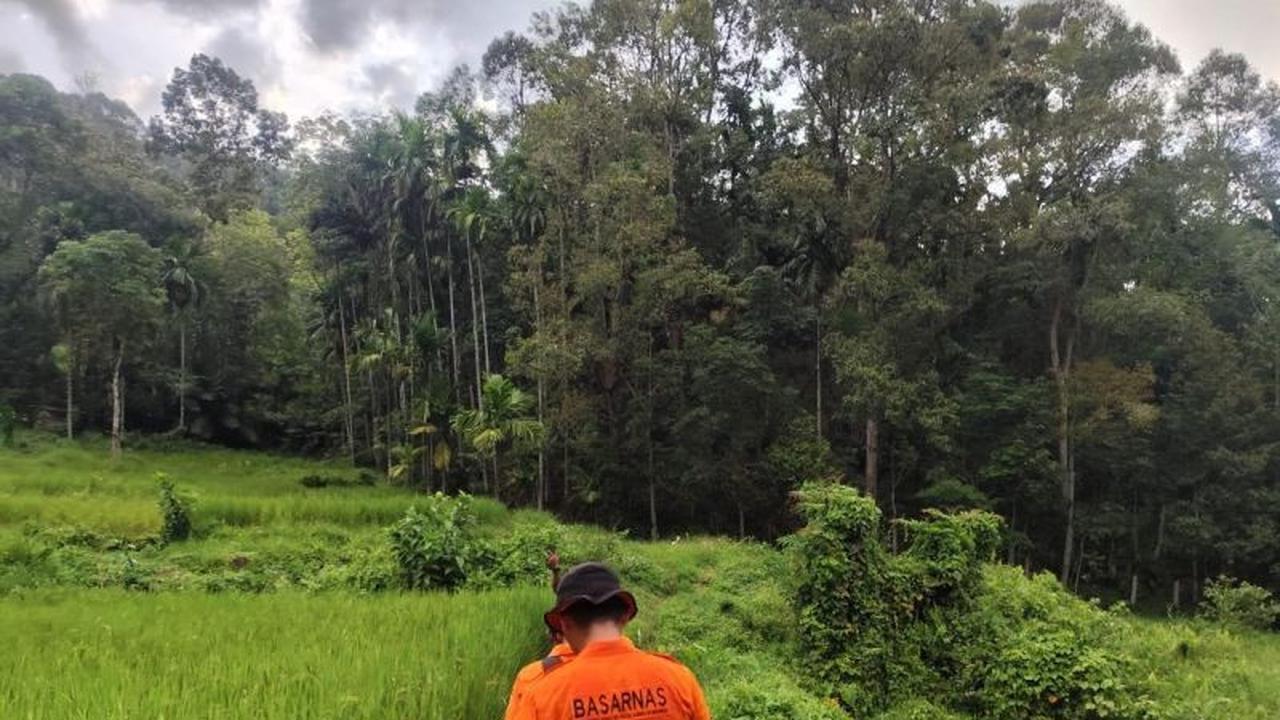 Kisah Haru Petani Hilang di Hutan Solok Selatan: Ditemukan Selamat Setelah Pencarian Dramatis