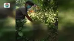 Pasangan tersebut ditangkap polisi karena membunuh dan membuang bayi hasil hubungan terlarang mereka.