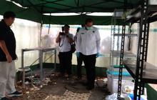 Bahan Dasar Narkoba Jenis DMT di Vila Bali Tanaman Asal Amazon, Punya Efek Penenang dan Penghilang Rasa Sakit