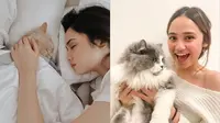 7 Potret Syifa Hadju dan Kucing Peliharaannya, Main Bareng hingga Temani Tidur (Sumber: Instagram/syifahadjureal)