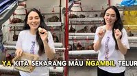 6 Potret Kandang Ayam di Rumah Jevier Justin dan Tiffany Orie, Bahagia saat Panen Telur