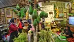 Suasana Pangan Plus Expo 2023 di JIExpo Kemayoran, Jakarta, Sabtu (30/9/2023). Pameran pangan yang merupakan bagian dari Rakernas IV PDI Perjuangan itu menampilkan inovasi produk pangan, hasil pertanian, perkebunan, dan perikanan. (Liputan6.com/Angga Yuniar)