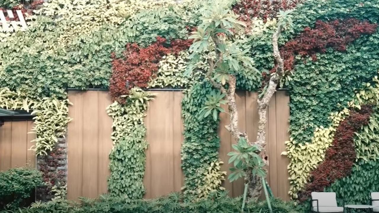 8 Potret Vertical Garden Rumah Mewah Titi Kamal dan Christian Sugiono, Indah dengan Nuansa Alam - Vibes bak Vila Bali