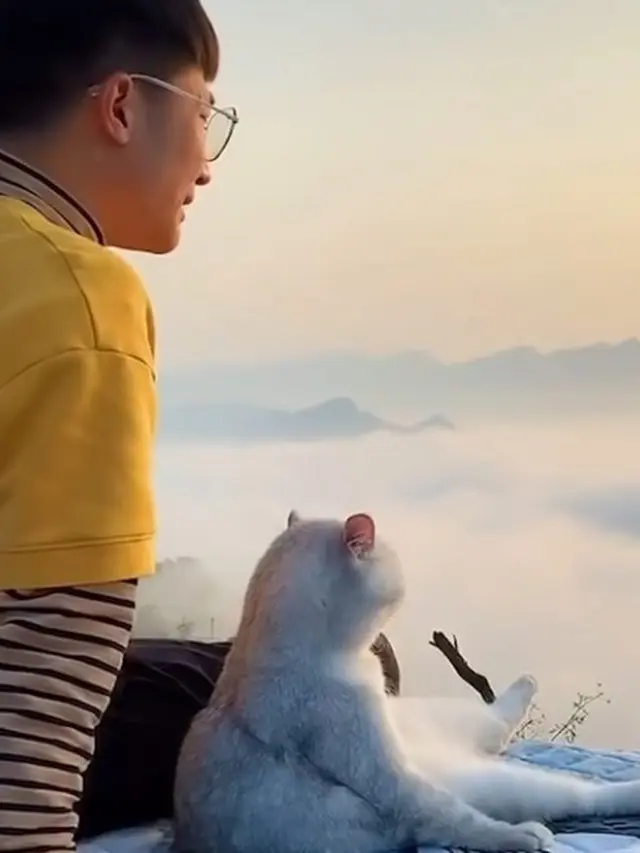 Gemas, Pria Ini Ajak Kucing yang Dianggap Pasangan Traveling Keliling Dunia