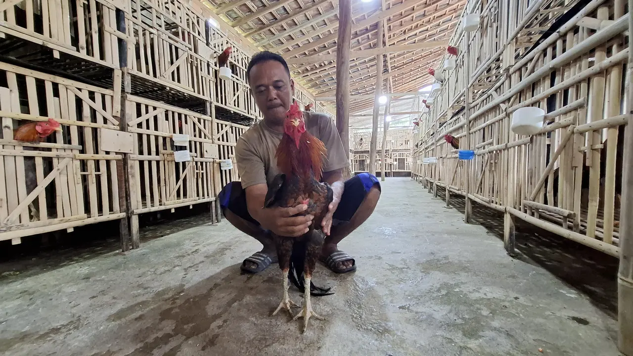 Kepala Desa Tanjung Rejo, Sanjaya
