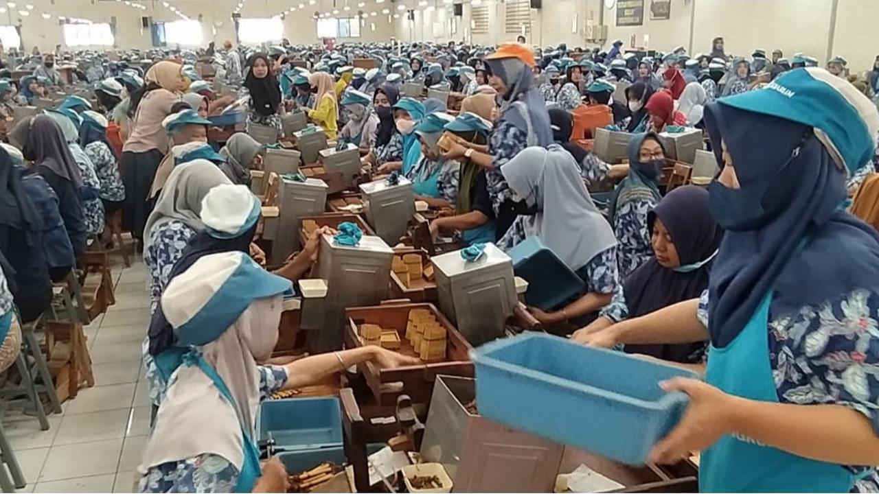 Perbedaan Blue Collar, White Collar, dan Grey Collar