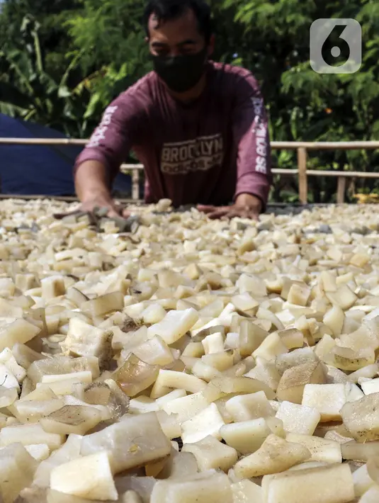 Pekerja menjemur kulit sapi untuk dijadikan kerupuk di Kerupuk Kulit Bambang, Depok, Jawa Barat, Sabtu (28/8/2021). Pelaku usaha kerupuk kulit mengaku sejak Pemberlakuan Pembatasan Kegiatan Masyarakat (PPKM) produksi kerupuk kulit menurun hingga 60 persen. (Liputan6.com/Johan Tallo)