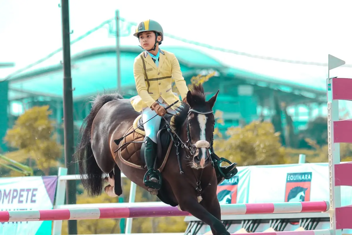 Equestrian